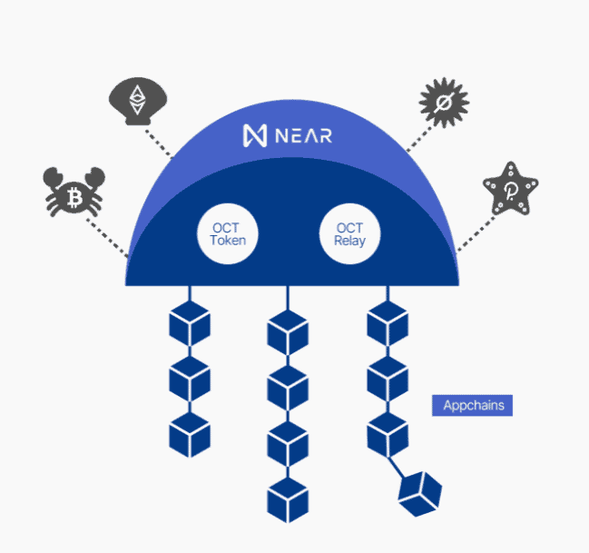 Octopus network crypto cuanto esta un bitcoin