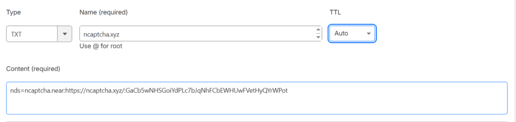 near-domain-system-text-record-dns-1024x244