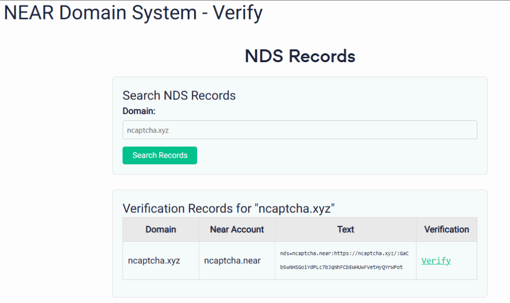 near-domain-system-text-record-verify-1024x609